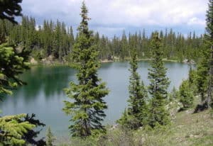 Colorado lake and pines