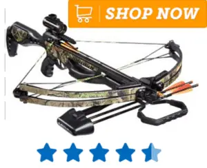 Hunting cross bow with two bolts