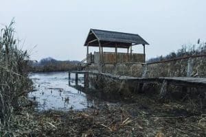 swamp land dock and hut