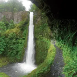 Tunnel under waterfall