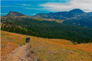 Beautiful picture from PCTA.org of a California section of trail.