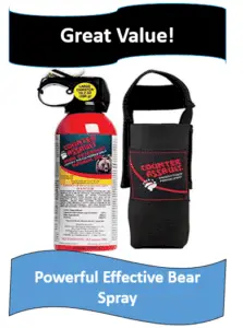 bear spray and holster