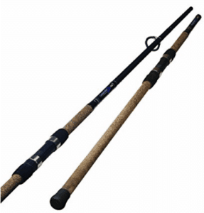 Carp fishing rods