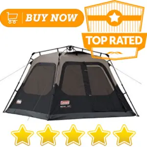 gray cabin tent