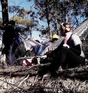 three hammock campers in woods