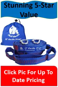 blue tree strap with carabiners