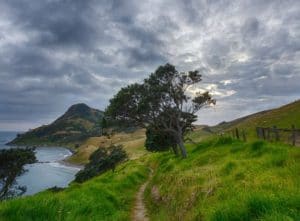 Hiking Trail