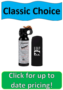 bear spray can and holster