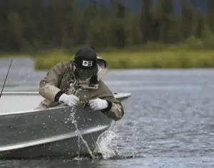 angler on boat pulling fish from lake