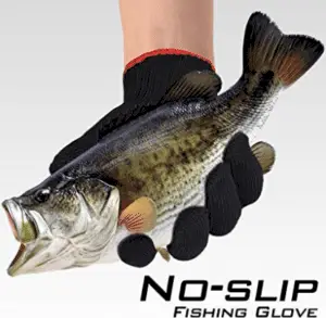 gloved hand holding bass