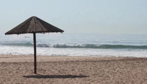 palm beach umbrella sunny day