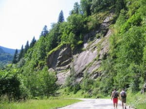 two guys hiking by forested mountain