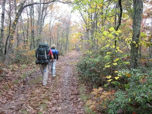 two trail hikers in autumn