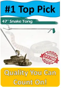 4 foot snake tongs grabbing rattlesnake