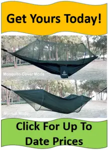 two hung hammocks
