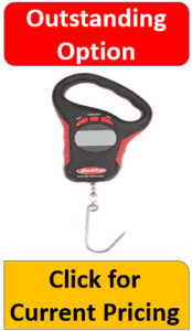 gray electronic fish hook scale
