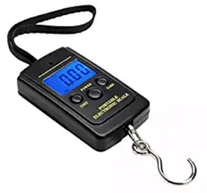 digital portable fish scale