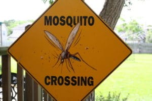 yellow mosquito crossing sign