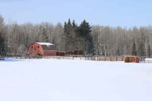 winter hunting landscape