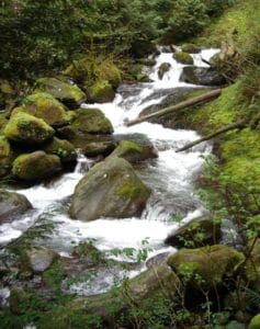 freshwater mountain stream