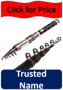 two telescopic fishing rods