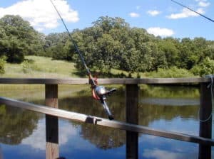 fishing rod on dock woods and lake background
