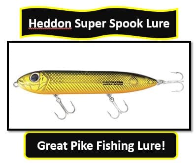 Heddon Super Spook Lure