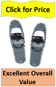 pair gray snowshoes