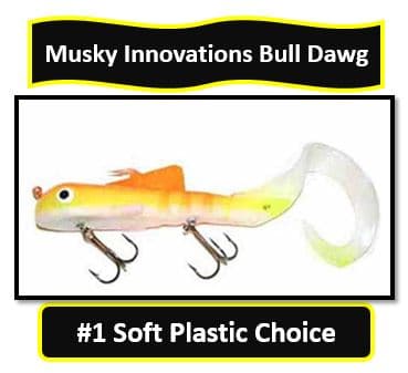 Musky Innovations Bull Dawg