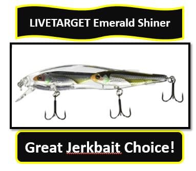 emerald shiner jerkbait from LIVETARGET