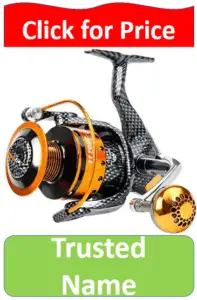 gold and silver fishing reel