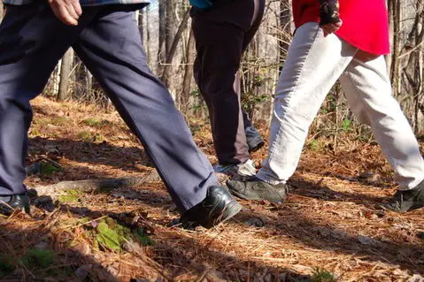 three people walking in woods