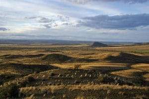 bare dry prairie