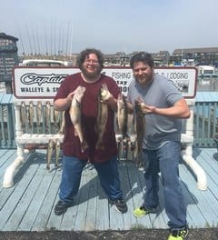 two anglers holding big walleye
