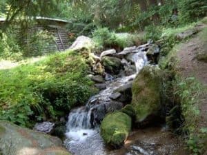 creek over mossy rocks by forest cabin