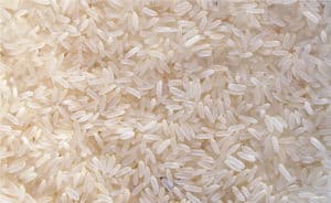 white rice