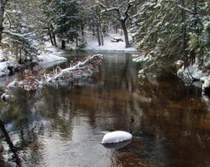 icy river water in winter forest