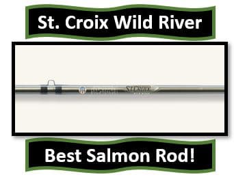 St. Croix Wild River Fishing Rod - Best Salmon Rod