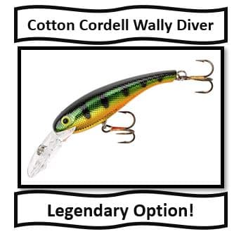 Cotton Cordell Wally Diver - best walleye fishing lures