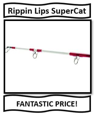 Rippin Lips SuperCat - best catfish fishing rods
