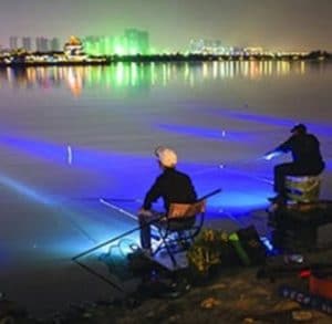 two night anglers shore fishing blue lights