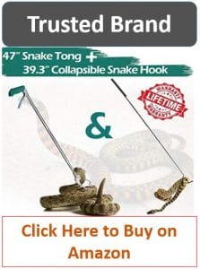 tongs handling snake