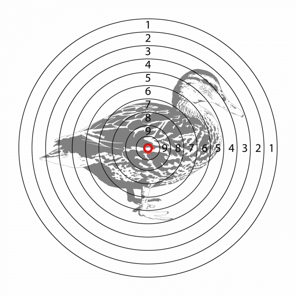 duck hunting target for target shooting