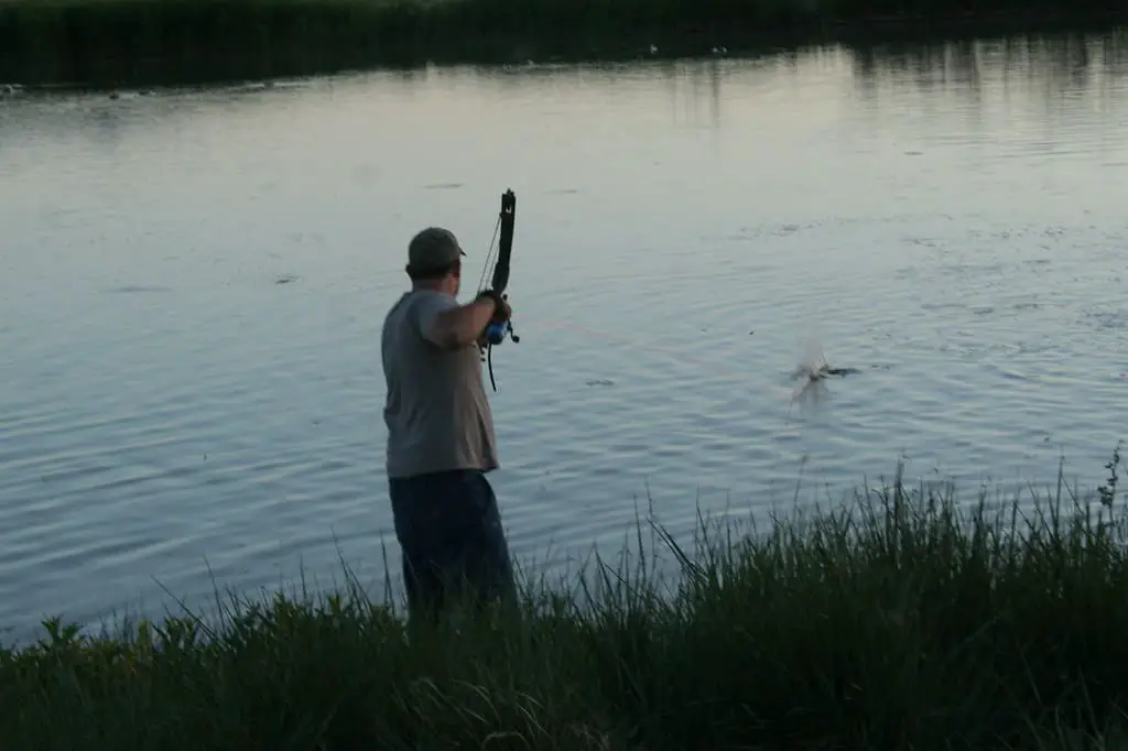 Bow fishing in the evening