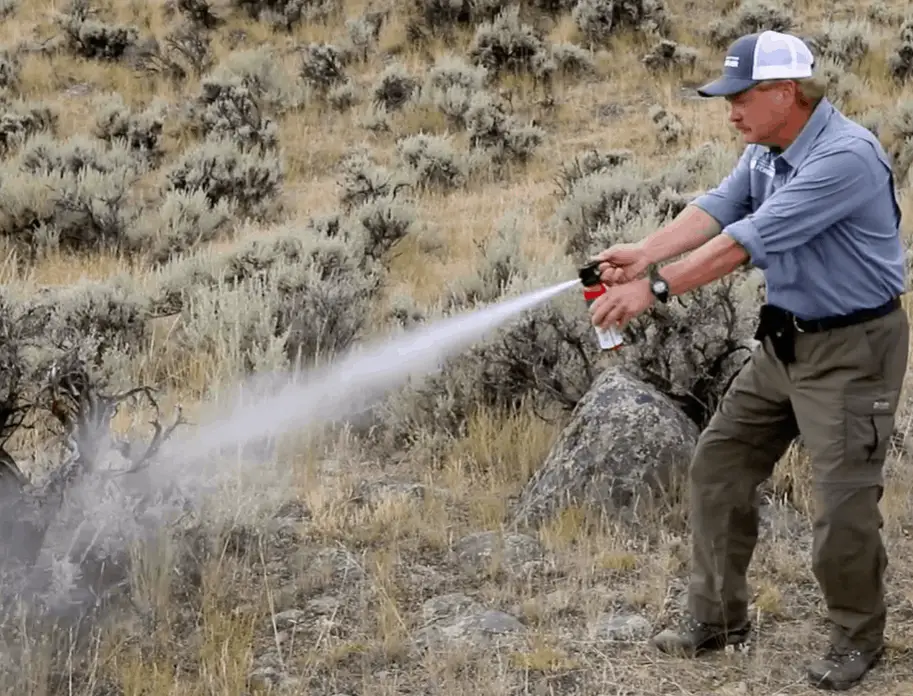 bear spray demonstration