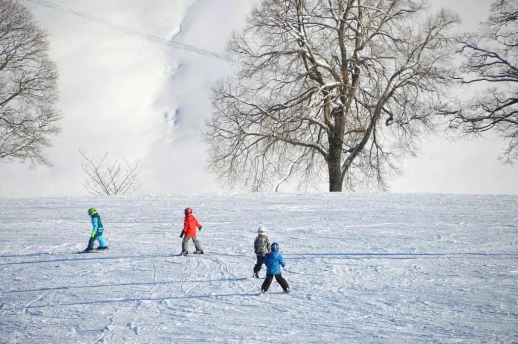 kids skiing in winter